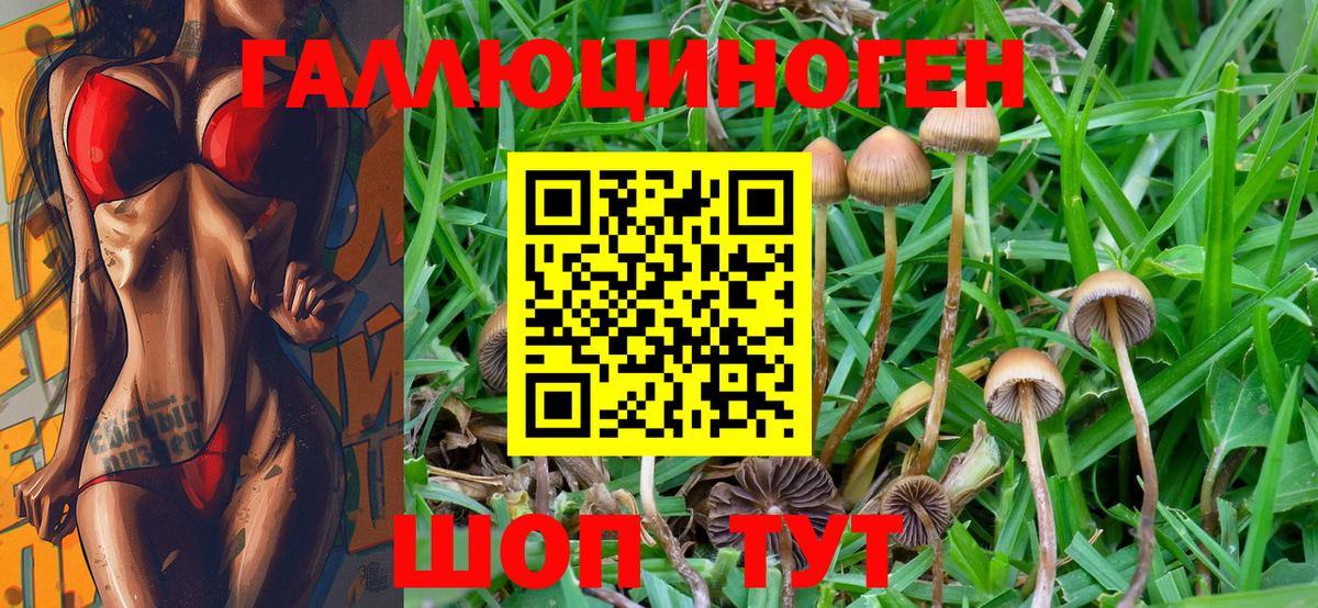 Галлюциногенные грибы Magic Shrooms Кандалакша