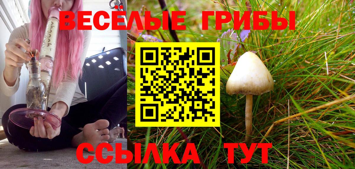 Кандалакша  Псилоцибиновые грибы мицелий  Вход с VPN 